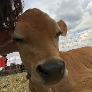 Meet your Posher, Brooke